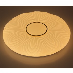 CX204 Loftlampe