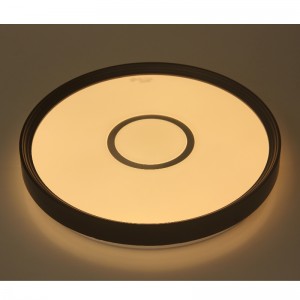 CX231 Loftlys
